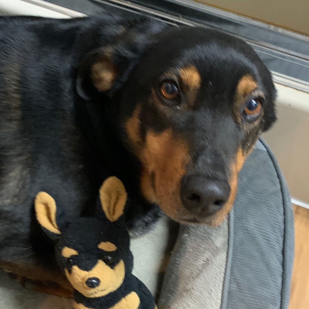 Meet your Posher, Brooke